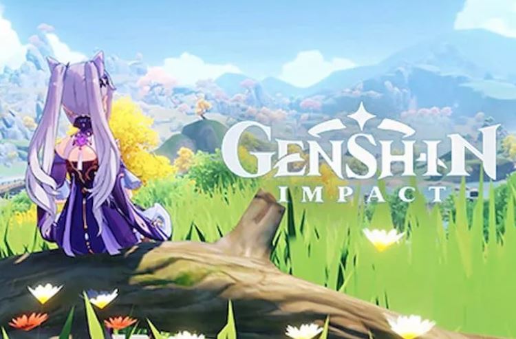 Genshin Impact: что такое функция предварительной установки и как ее включить в игре