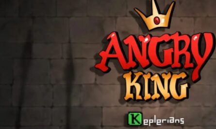 Руководство и советы для начинающих Angry King