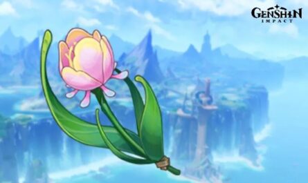 Руководство по Genshin Impact: Расположение радужных роз и где их найти